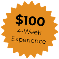 Instructional League Price